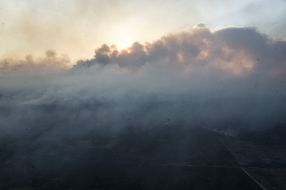 В Чернобыльской зоне горит лес