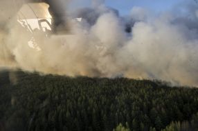 В Чернобыльской зоне горит лес