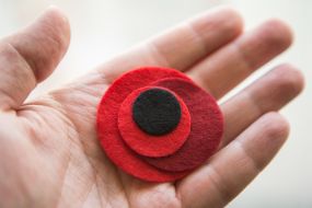 Red poppies - a symbol of remembrance