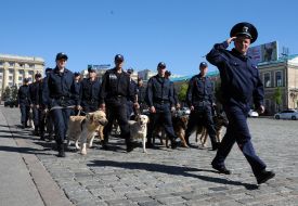 Group of dog handlers