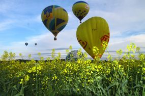 Воздухоплавательная фиеста "Кубок Подолья - 2015"