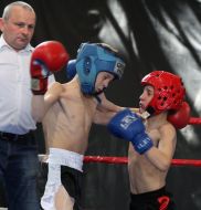 Ukrainian kickboxing tournament "Cup of Shuvar"