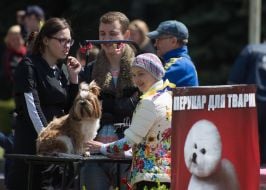 "Город профессий"