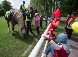 "Город профессий"