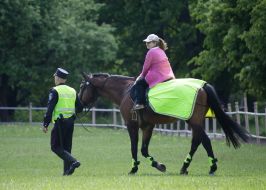 "Город профессий"