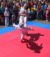 Показательные выступления по киокушинкай каратэ