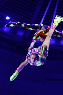 The "Carnival of Venice" at the Lviv circus