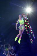 The "Carnival of Venice" at the Lviv circus