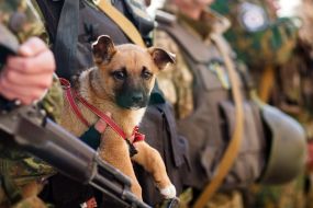 The meeting of law enforcement