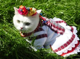 Megamarsh in embroidered shirts