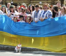 Megamarsh in embroidered shirts