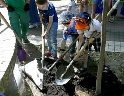Діти допомагають садити дерева в Маріїнському парку
