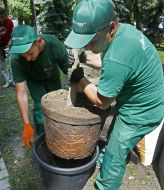 У Маріїнському парку садять дерева