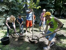 У Маріїнському парку садять дерева