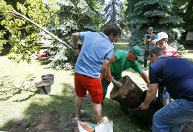 У Маріїнському парку садять дерева