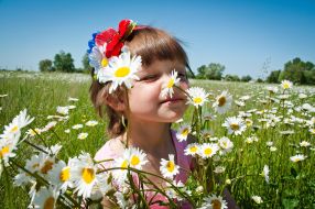 The girl in the chamomile field