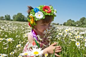 The girl in the chamomile field