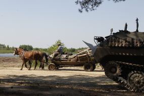 Farmer carrying firewood