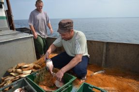 Investigation of the Kiev reservoir fish stocks