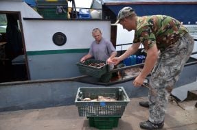 Investigation of the Kiev reservoir fish stocks