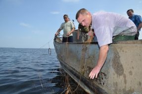 Investigation of the Kiev reservoir fish stocks