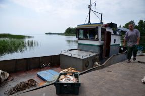Investigation of the Kiev reservoir fish stocks
