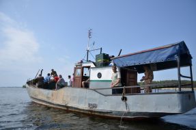 Investigation of the Kiev reservoir fish stocks