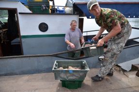 Investigation of the Kiev reservoir fish stocks