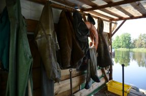 Investigation of the Kiev reservoir fish stocks