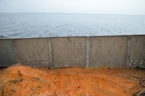 Investigation of the Kiev reservoir fish stocks