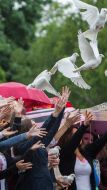 Graduates of the release of doves