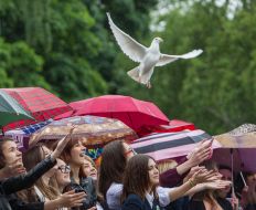 Graduates of the release of doves