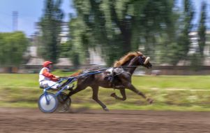 Киевский ипподром