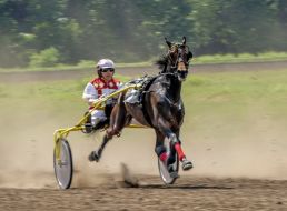 Киевский ипподром