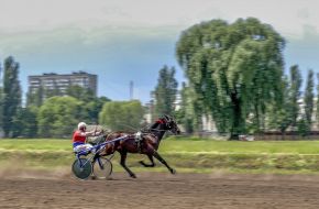 Киевский ипподром