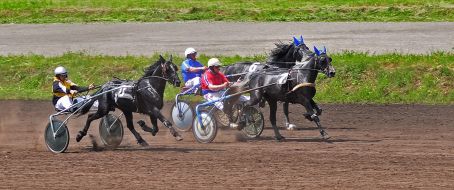 Киевский ипподром