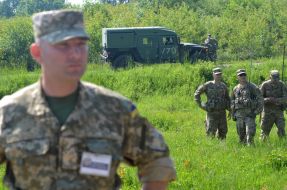 Учения Fearless Guardian 2015