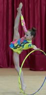 Tournament of Rhythmic Gymnastics «NIKA CUP 2015"