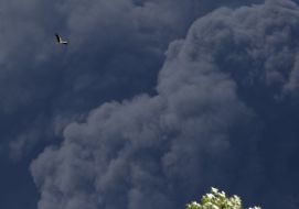 Пожар на территории нефтебазы