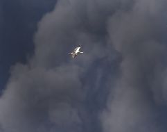 Пожар на территории нефтебазы