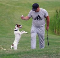 Golf Instructor