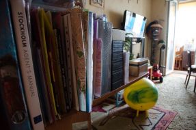 Книжная полка