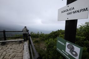 Sokolica (1367 m)