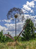 Скульптура з природних матеріалів