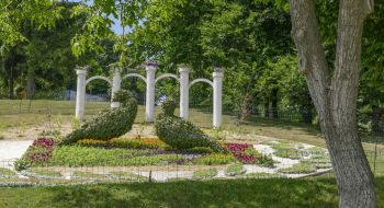 Sculpture made by natural materials