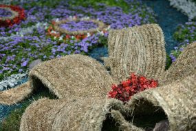 Скульптура из природных материалов