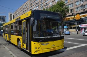 Bus