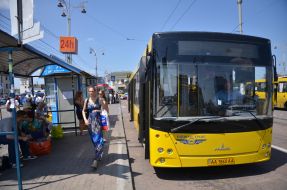 Bus
