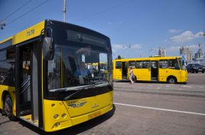 Bus