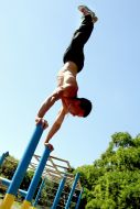 Open Championship of Street Workout